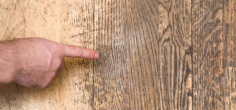 Wood Door Scratch Repair in Vero Beach South